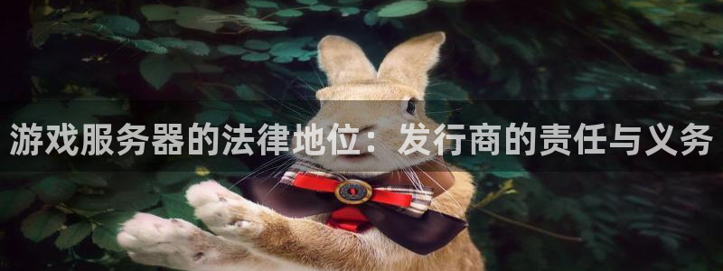 pp电子官网登录注册账号是什么：游戏服务器的法律地位：发行商的责任与义务