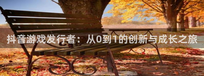 pp电子子经理人一共出了多少本：抖音游戏发行者：从0到1的创新与成长之旅