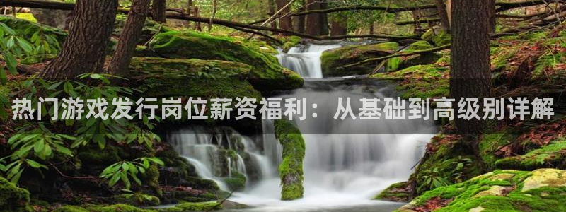 pp电子子文化创意做什么的：热门游戏发行岗位薪资福利：从基础到高级别详解