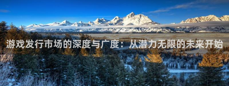 pp电子官网注册方法有哪些软件：游戏发行市场的深度与广度：从潜力无限的未来开始