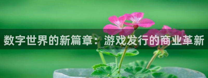 pp电子电子商务有限公司电话：数字世界的新篇章：游戏发行的商业革新