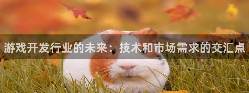 pp电子官网登录注册不了怎么办：游戏开发行业的未来：技术和市场需求的交汇点