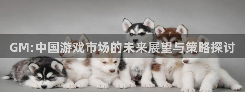 pp电子官网的奇趣腾讯是真的吗：GM:中国游戏市场的未来展望与策略探讨