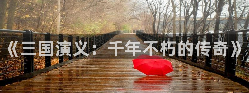 四川pp电子科技有限公司怎么样