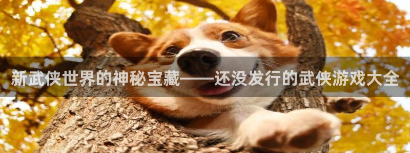 pp电子官网挂机项目怎么样