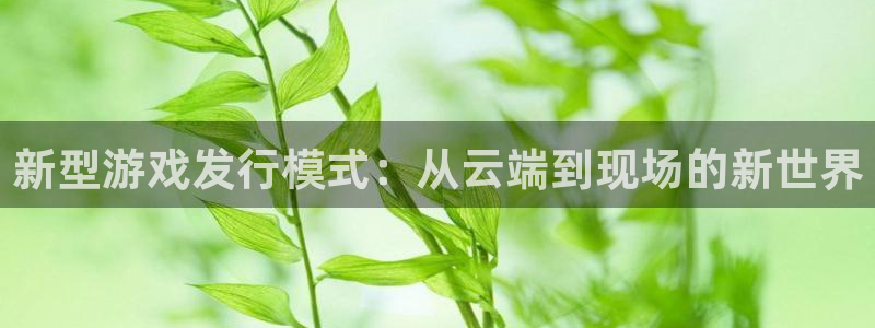 pp电子官网平台代理开号
