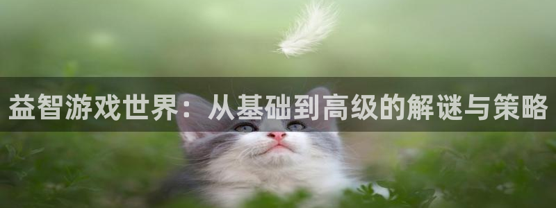 pp电子是什么