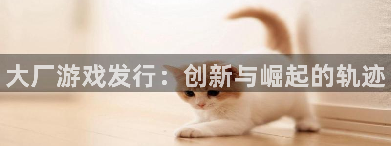 四川pp电子科技有限公司