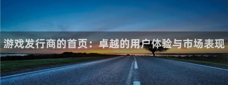 广东pp电子电商bruno：游戏发行商的首页：卓越的用户体验与市场表现