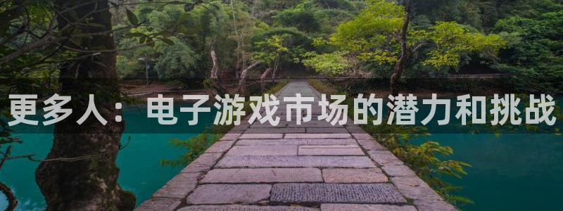 pp电子官网平台代理条件如何