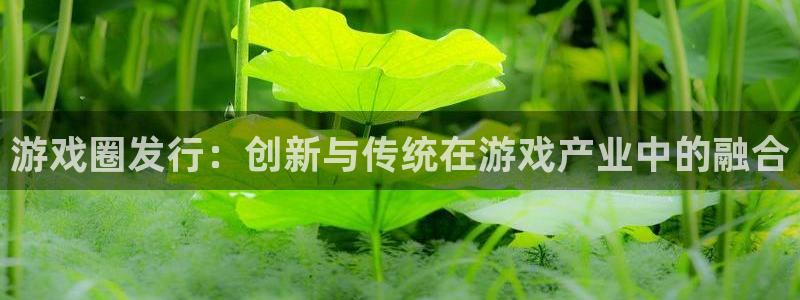 pp电子子文化创意有限公司：游戏圈发行：创新与传统在游戏产业中的融合